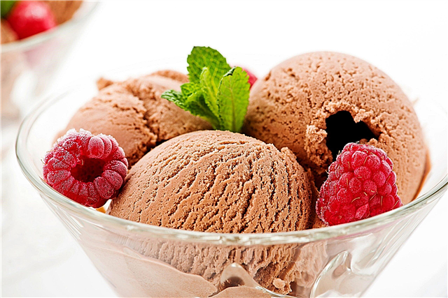 30 zabavnih dejstev o sladoledu: zgodovinska dejstva, kuharske tehnike in okusi