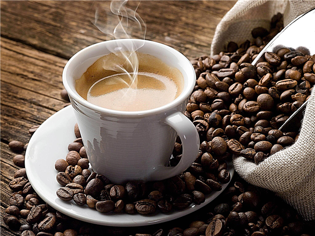 20 faits et histoires sur le café: cure d'estomac, poudre d'or et monument au vol