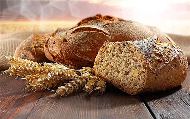20 фактів про хліб і історії його виробництва в різних країнах
