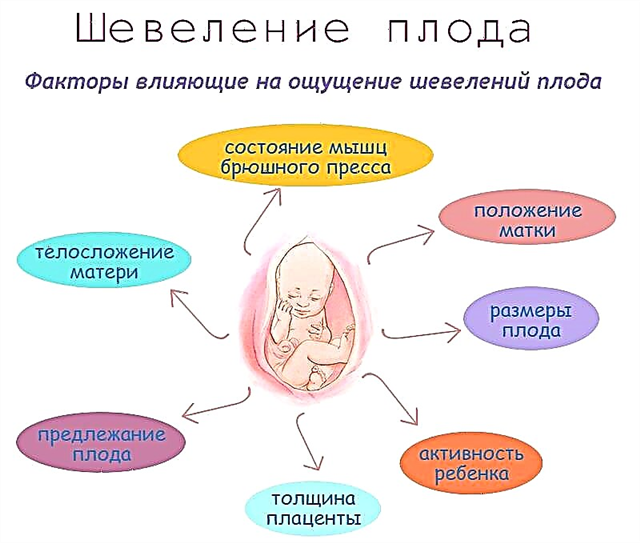 50 հետաքրքիր փաստ հղիության մասին. Բեղմնավորումից մինչև երեխայի ծնունդ