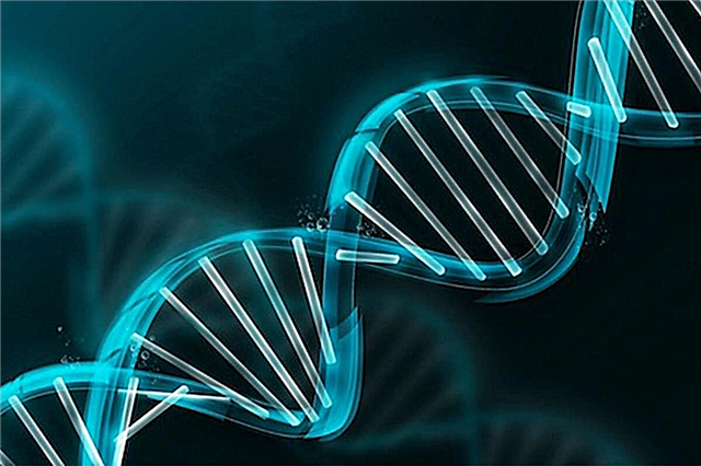 15 حقيقة مسلية عن علم الوراثة وإنجازاته