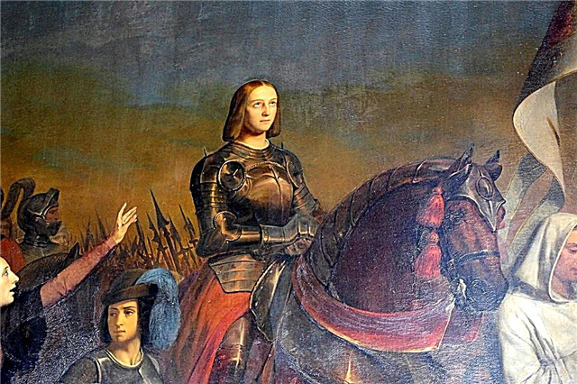30 γεγονότα από τη σύντομη αλλά πολύχρωμη ζωή της Παναγίας της Ορλεάνης - Jeanne d'Arc
