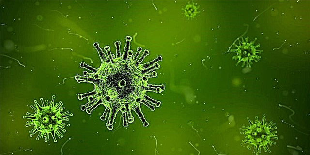 20 hechos sobre virus, pequeños pero muy peligrosos