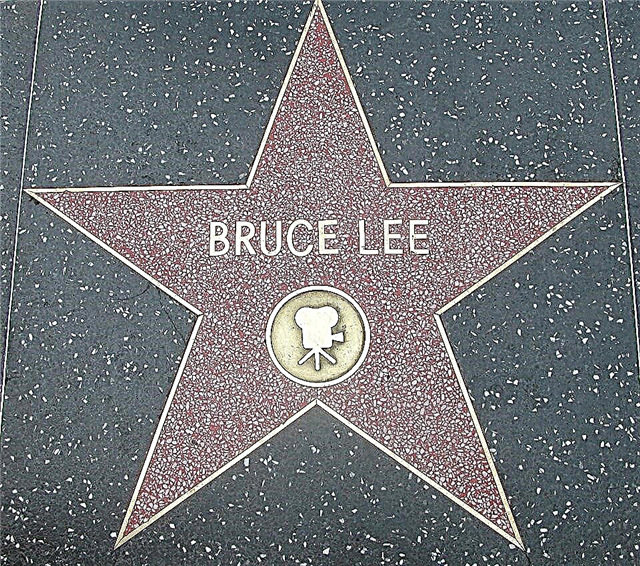 20 reyalite nan lavi Bruce Lee: koun Fu, sinema ak filozofi