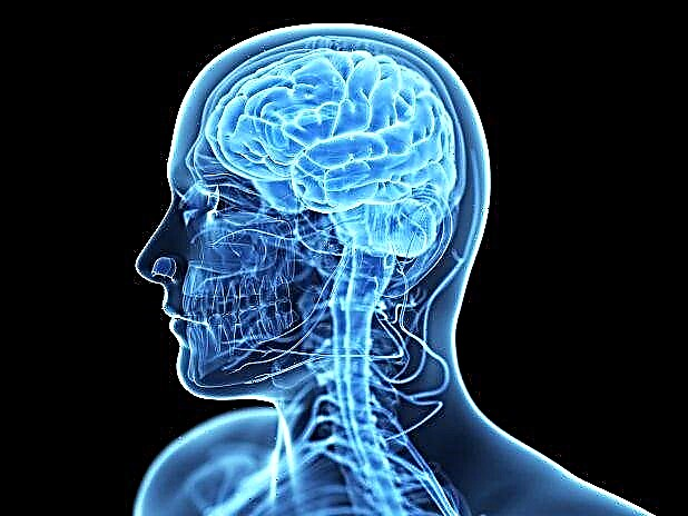 80 интересни факти за човечкиот мозок