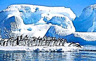 Gaskiya mai ban sha'awa game da Antarctica
