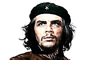 ʻO Ernesto Che Guevara
