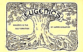 Što je eugenika