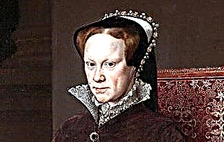 Meri Tudor