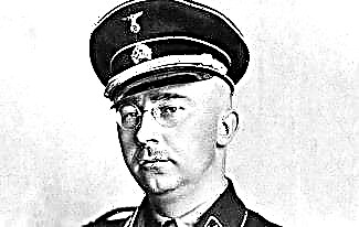 Хајнрих Химлер