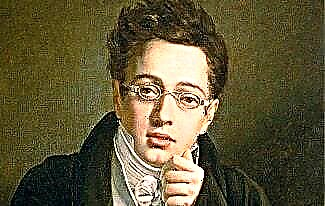 ʻO Franz Schubert