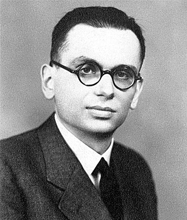 Biografia de Kurt Gödel, conhecido como o senhor por quê