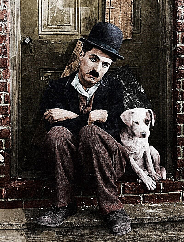 Chaplin Diktaattori