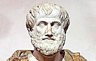 Aristoteli