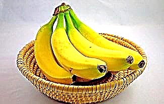 Banana je bobica