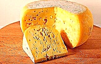 پنیر کے بارے میں دلچسپ حقائق