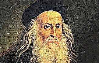 About amet Leonardus Vincius