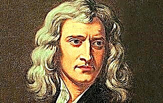 Mielenkiintoisia faktoja Newtonista