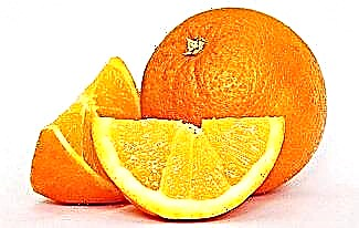 오렌지에 대한 흥미로운 사실