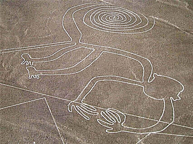ເສັ້ນທະເລຊາຍ Nazca