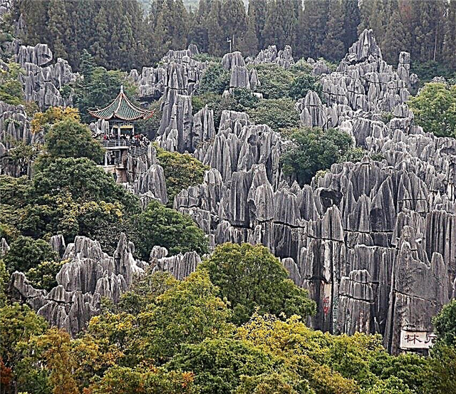 Shilin stone forest