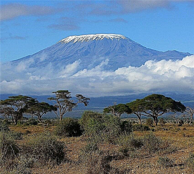 Kilimanjaro volcano