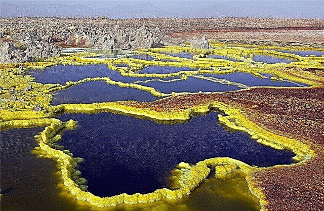 Pustinja Danakil
